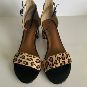 Sbicca leopard print shoes size 9, 2 inch heel, ankle strap